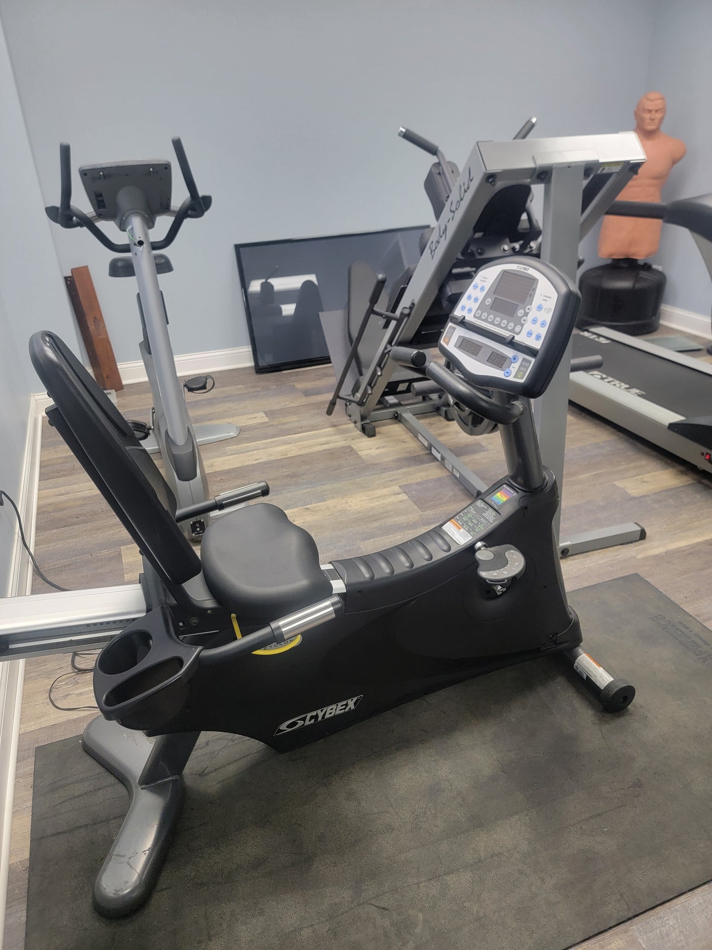 COMMERCIAL GYM EQUIPMENT PACKAGE Pickup in Joliet, IL | $12,000 Value | $9700 Package Price | Financing Available