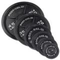 255 LB Cast Oly Set