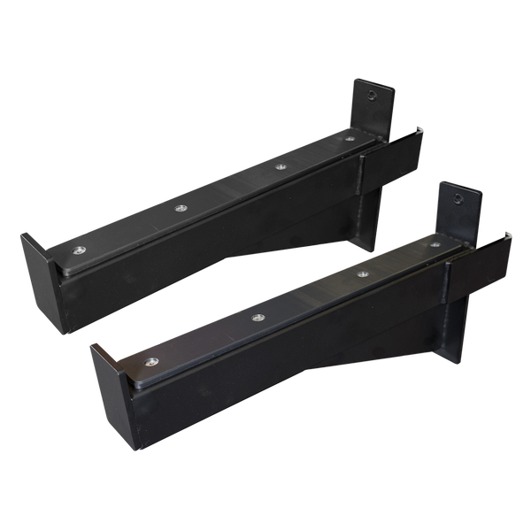 SPRSA Spotter Arms SPR500 (pair) Body-Solid